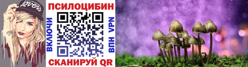 Псилоцибиновые грибы Cubensis  МЕГА ссылка  Лысьва 