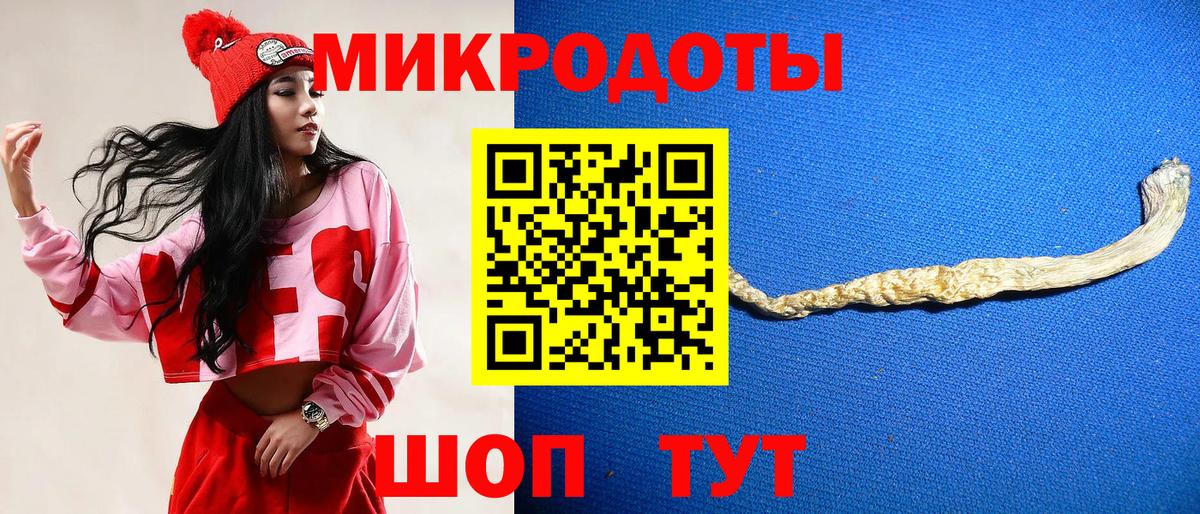 Галлюциногенные грибы Cubensis Лысьва