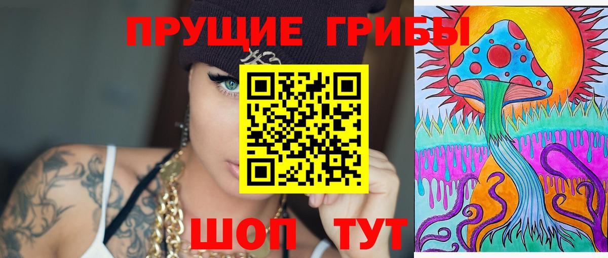 Лысьва  Псилоцибиновые грибы Psilocybe  Вход с VPN 